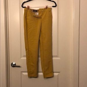 Express Mustard Editor Pants